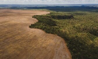 Reforestación en zonas áridas Desiertos verdes