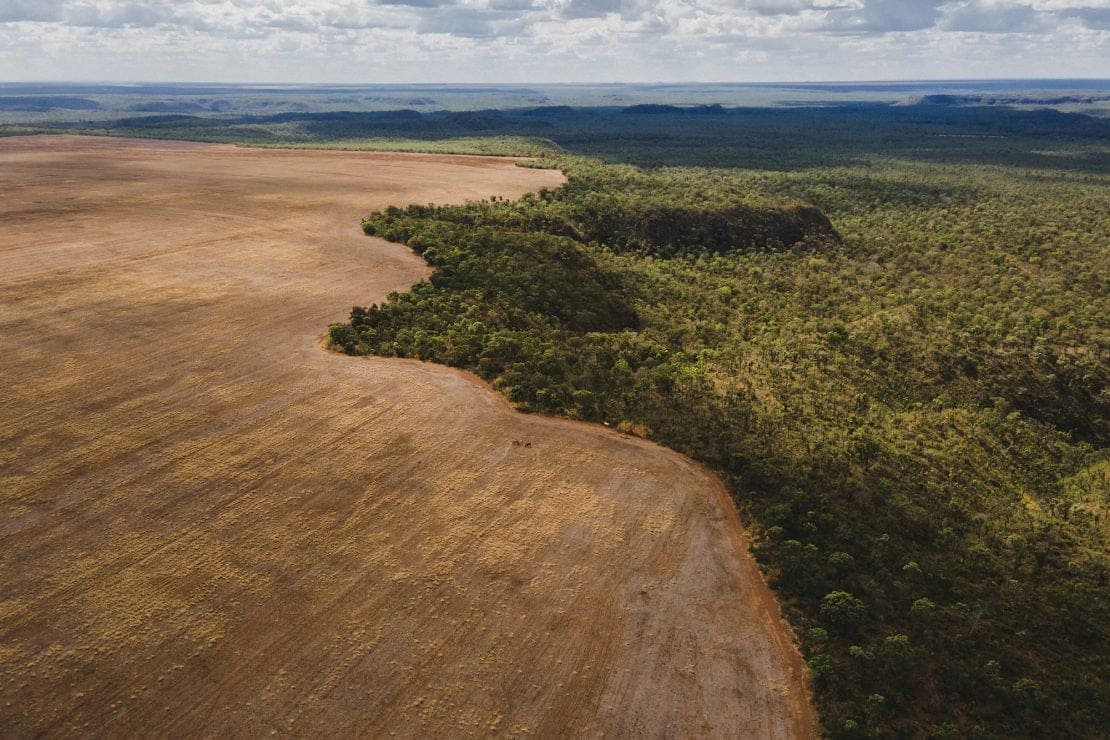 Reforestación en zonas áridas Desiertos verdes