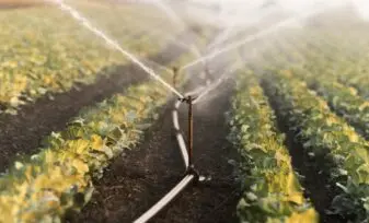 Técnicas sostenibles para el manejo del agua en la agricultura