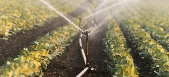 Técnicas sostenibles para el manejo del agua en la agricultura