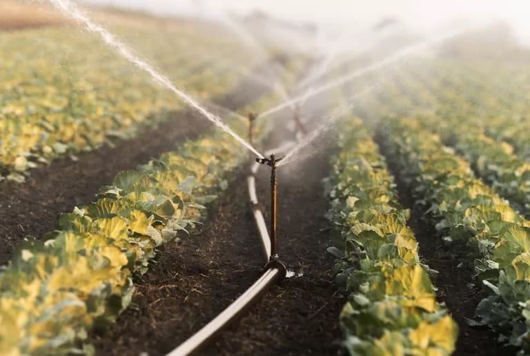 Técnicas sostenibles para el manejo del agua en la agricultura