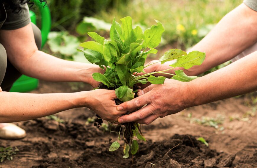 Biopiratería el robo de recursos genéticos y su impacto global