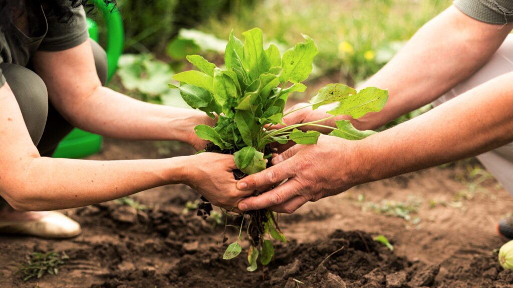 Biopiratería: el robo de recursos genéticos y su impacto global