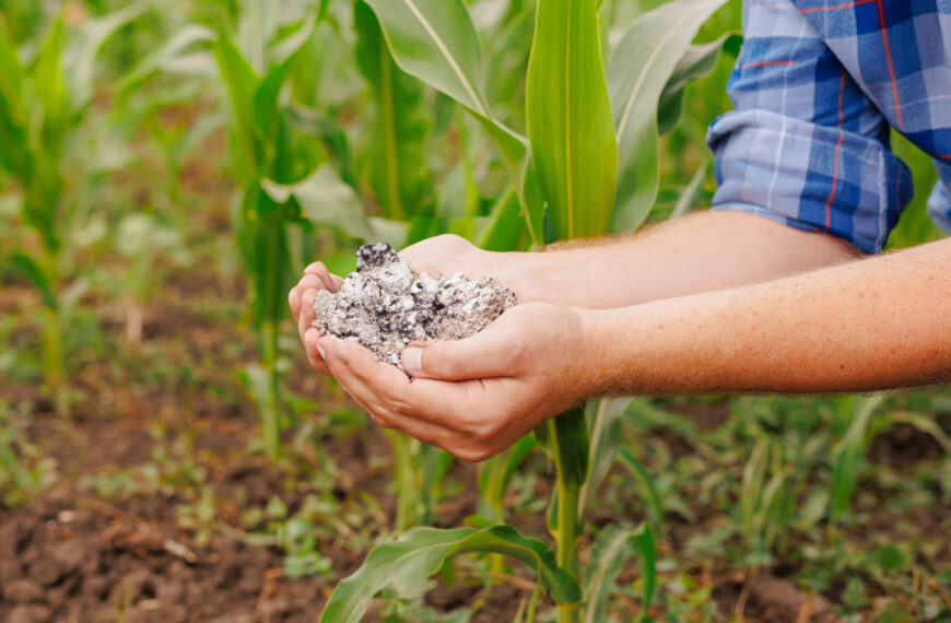 Cenizas volcanicas en la agricultura