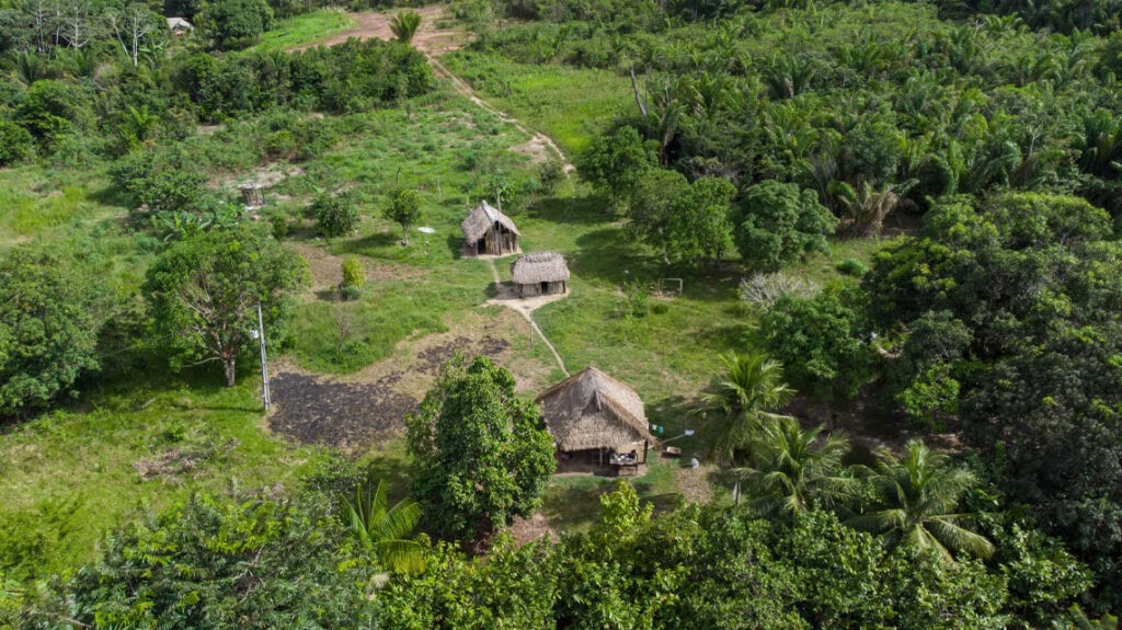 Cómo las comunidades indígenas preservan la biodiversidad mundial