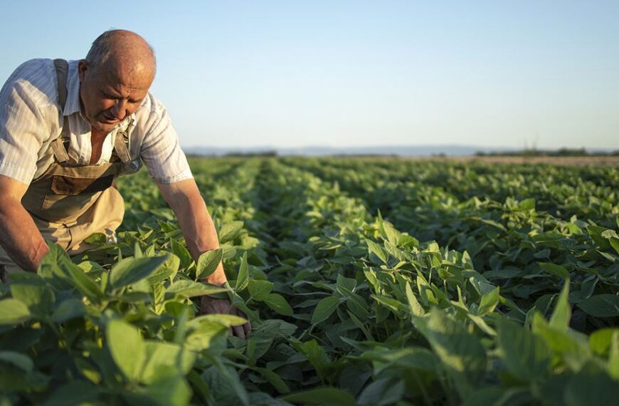 Estrategias para reducir la huella de carbono en la producción de alimentos