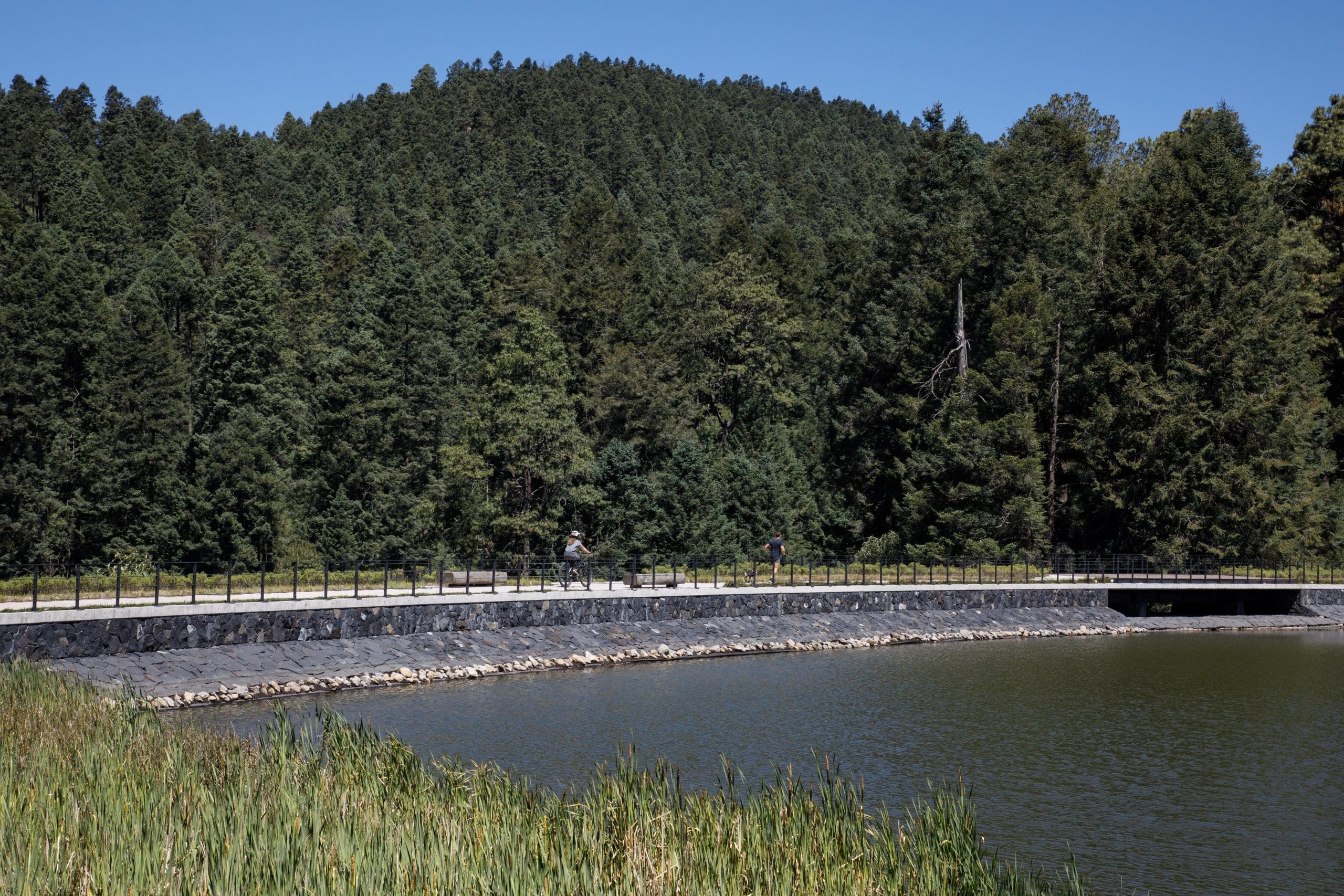 Agua regenerativa, nuevas estrategias para manejar recursos hídricos