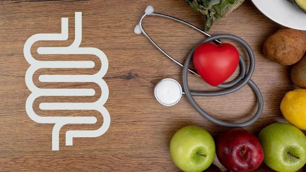 Papel de la microbiota intestinal en la respuesta a las dietas de moda
