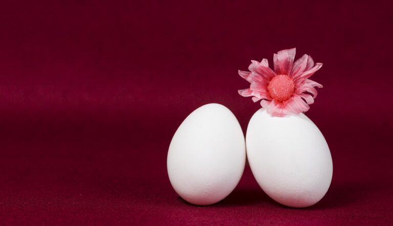 Huevos y equilibrio lo que la nutrición holística dice sobre este alimento