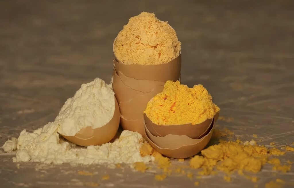 Huevo en polvo, líquido o convencional: ¿cuál es mejor?