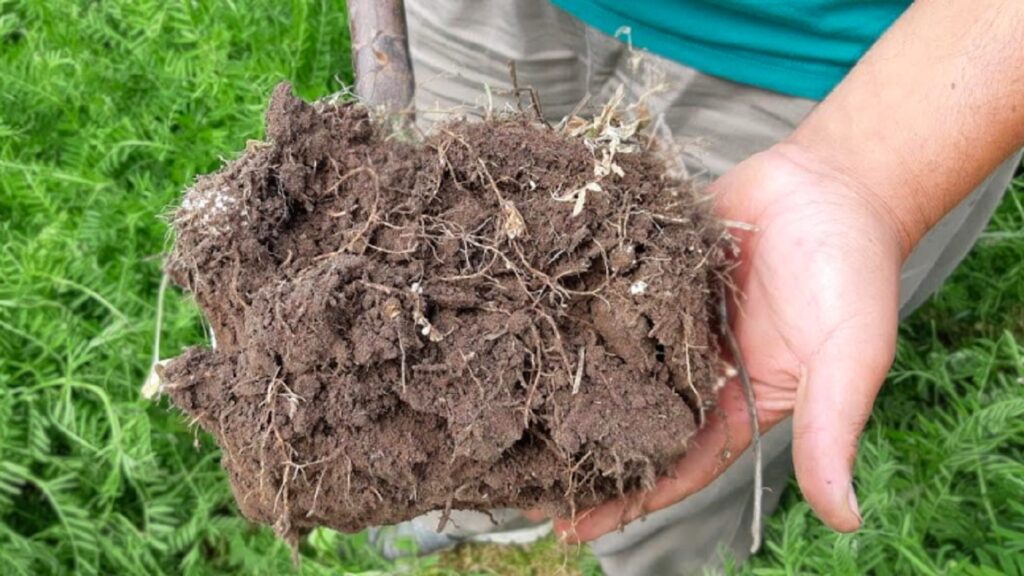 manejar un suelo compuesto en el campo