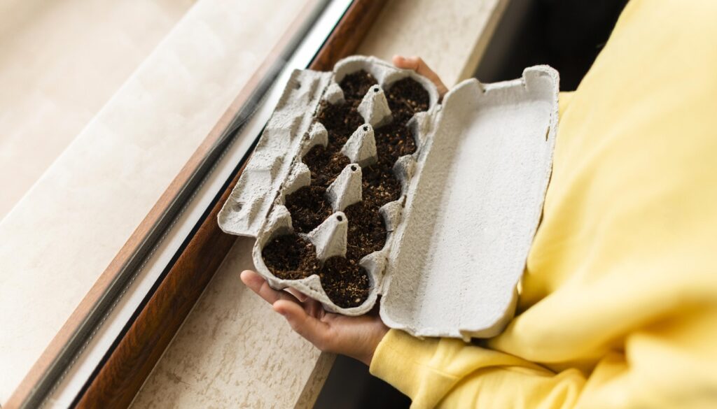 Cómo transformar la cáscara de huevo en un recurso valioso para el suelo agrícola