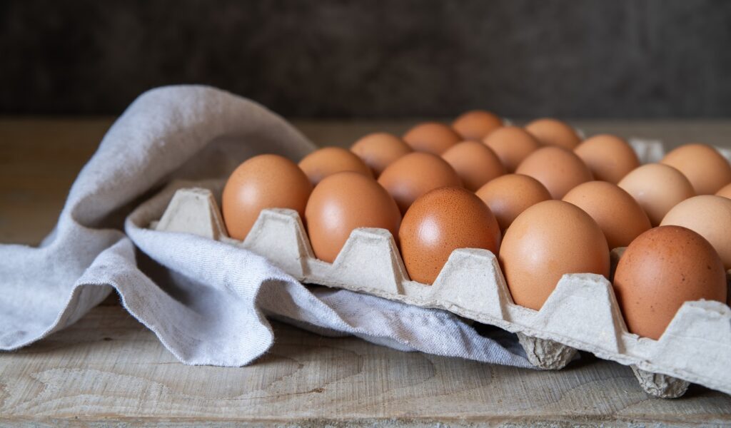 ¿Sabías que las cubetas de huevo son de un solo uso? Descubra por qué reutilizarlas puede ser un riesgo