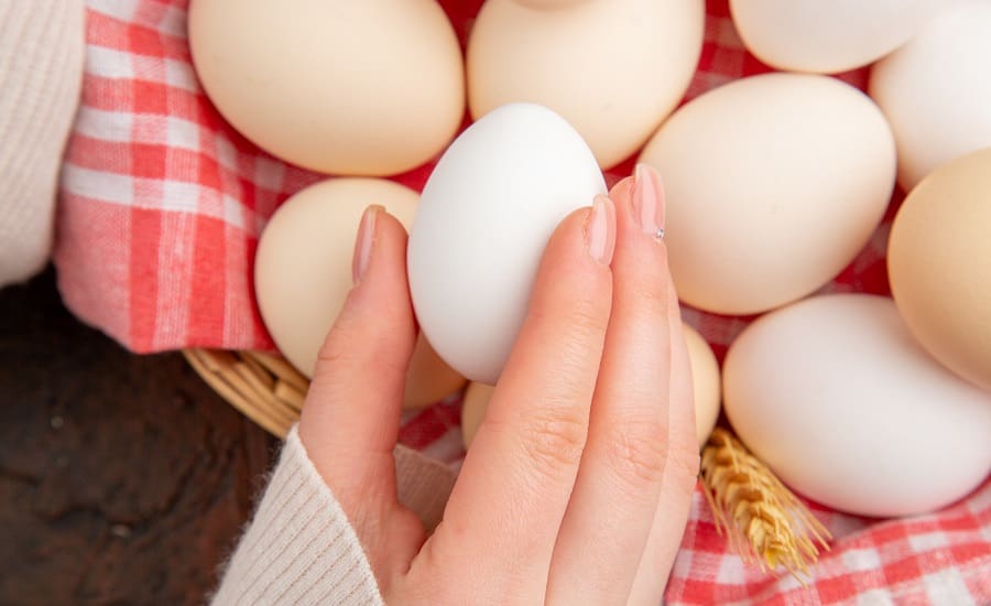 El huevo, alimento de gran densidad nutricional