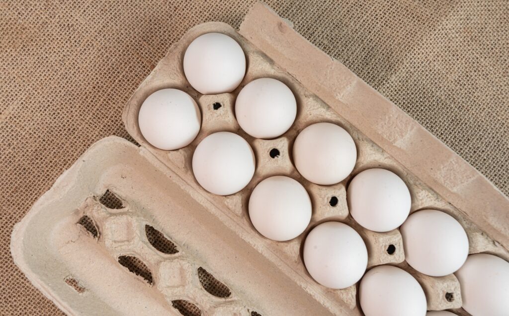 producción más eficiente de huevos