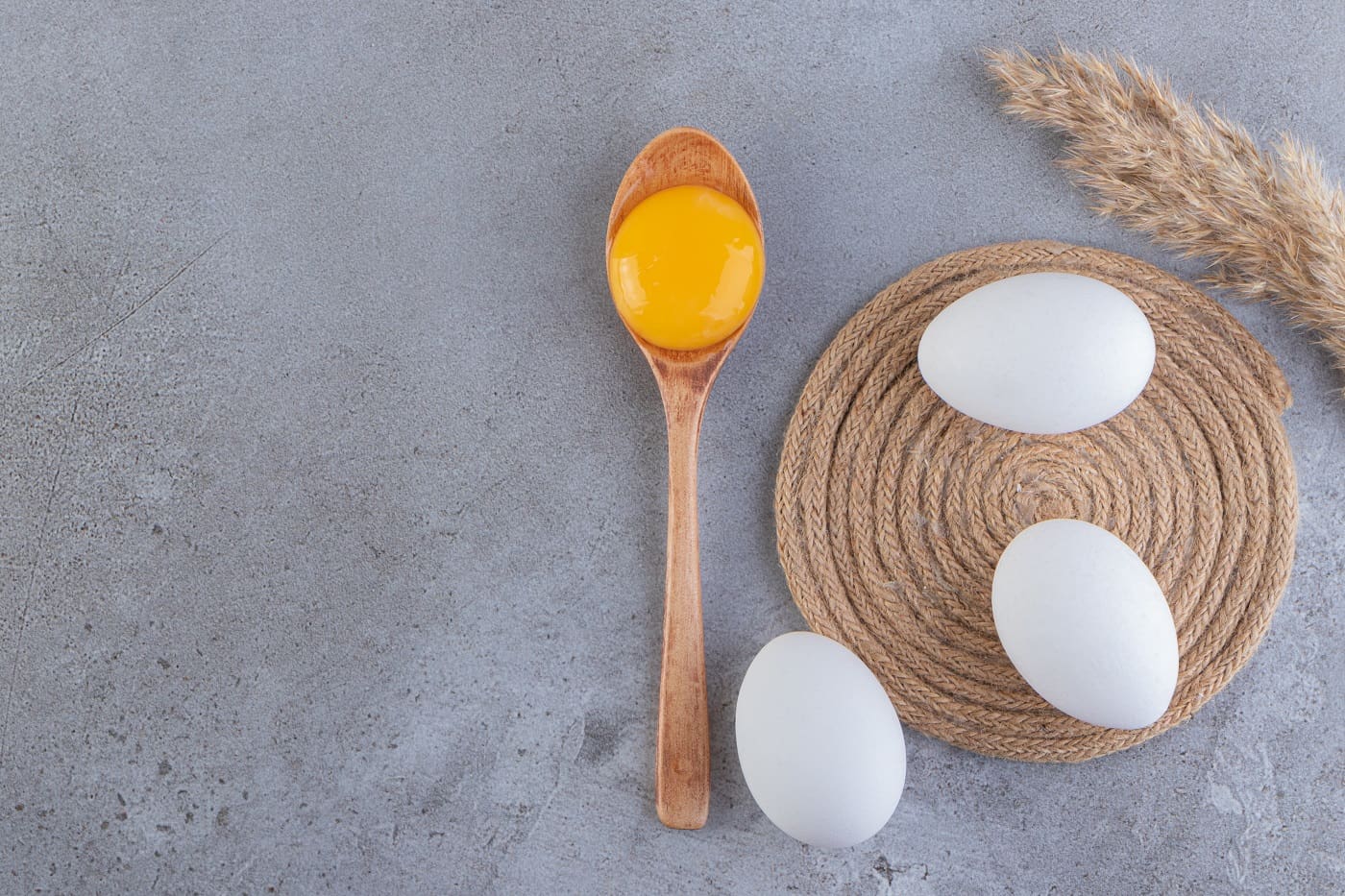 Huevo y salud digestiva