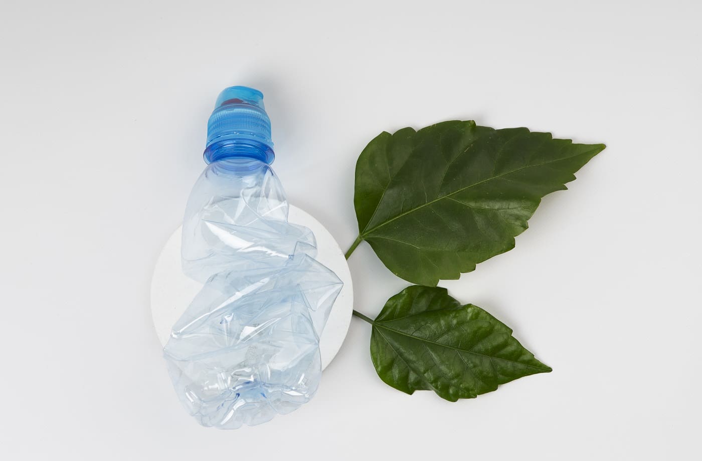polímeros biodegradables